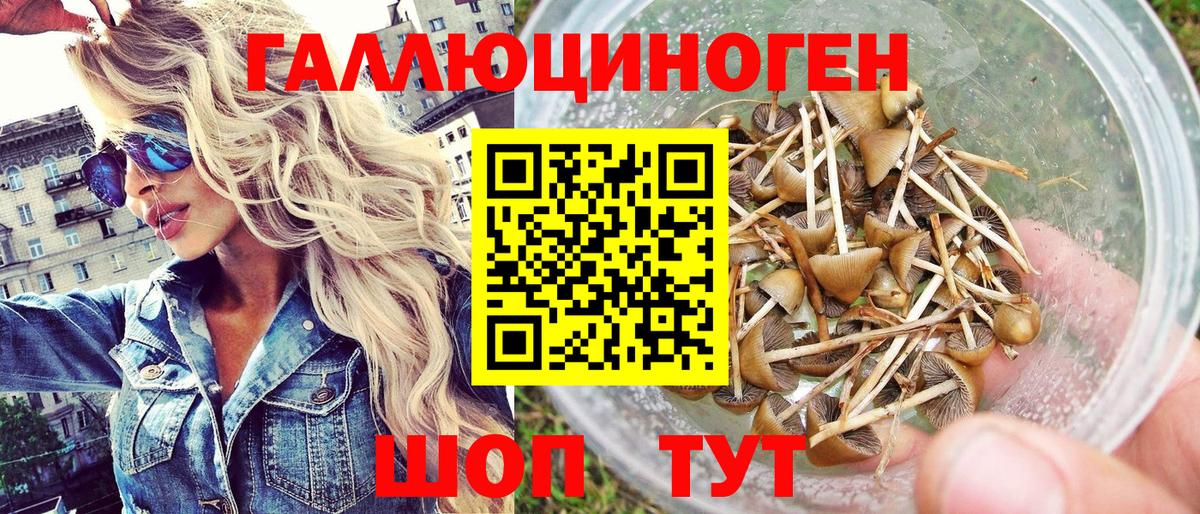 Псилоцибиновые грибы прущие грибы Можайск